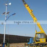 300w Wind Trubine & 100w Solar Panel Power Led Street Light Hybrid System