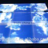 New Design SMD3528 Surface Mount 48W 0~10V/1~10V Dimming 595X595MM Frameless LED Ceiling Sky Panel