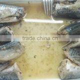 425g Chinese Canned Food Mackerel in Brine