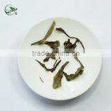 2016 Fresh Best White Tea Brands White Tea Price thumbnail-3