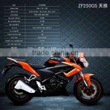 250CC Racing Motorcycle Cheap for Sale Zf250GS thumbnail-1
