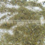 Green Tea F HSL Gimex thumbnail-1