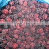 BRC,KOSHER,HALAL IQF Blackberry thumbnail-1