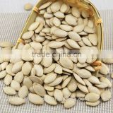 wholesale pumpkin seeds top crop with best price