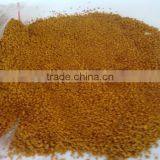 Non-GMO Corn Germ Meal thumbnail-1