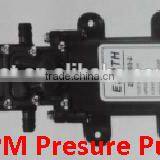 ILot 3LPM Pressure Pump for Sprayer Used in Agriculture Gardening Pest Control