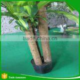 Nearly Natural Corn Stalk Dracaena Decorative Silk Plant thumbnail-3