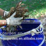 Pop up Storage Sack Garden Leef Bag Leave Bag thumbnail-2