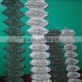 China Bulk Site 1 Inch Hot-dip Galvanized Chain Link Fence thumbnail-6