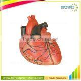 Vivid Human Organs Body Anatomy Heart Model thumbnail-1