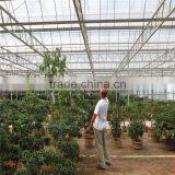 Commerical Multi-Span Greenhouse for Agriculture With UV thumbnail-3