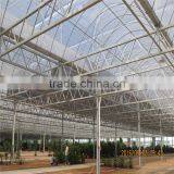 Multi-Span Agricultural Greenhouses Type and PC Shee Cover Material Agricultural Greenhouses thumbnail-5