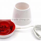 Desktop Flower Pot With USB Charger thumbnail-2