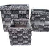 New Design Light Cement Planter thumbnail-1