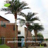 Plastic Indoor Artificial Coconut Palm Tree Size Between 2m and 10m Factory Wholesale thumbnail-3