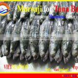 FROZEN W/R MUROAJI FOR TUNA BAIT thumbnail-1