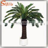 Guangzhou Supplier Wholesale Artificial Cycas Revoluta Tree Bonsai Fake Cycas Revoluta thumbnail-4