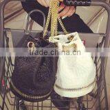 DY0074Z Europea Hot Sale Ladies Winter Chain Bucket Bag thumbnail-2