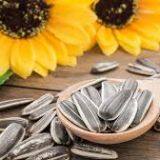 Sunflower Seeds on Hot Sale thumbnail-2