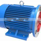 YE3 Series Electric Motor Sale Three Phase Induction Motor for Industry Machinery 3 Phase Asynchronous Motor thumbnail-4
