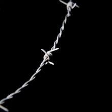 14 Gauge Galvanized Barbed Wire/plastic Barbed Wire in High Quality thumbnail-1
