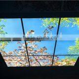 Golden Autumn Led Sky Ceiling Panel thumbnail-6