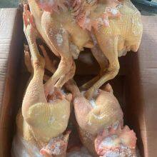 Fresh Frozen Bone Raw Chicken thumbnail-4