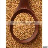 Methi Dana, Methi Seeds, Fenugreek Seeds thumbnail-1