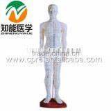 170 cm Standard Needle Point Human Acupuncture Model thumbnail-3