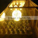 45w 110V AC Voltage Dual Energy Saving Lamps for Greenhouse With Long Life Span and Stable Quality thumbnail-1