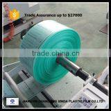 Customized Printed HDPE Inflatable Air Bubble Cushion Film/fill Air Bags Protective thumbnail-2