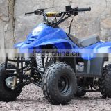blue quad bike Mini Quad 50CC /70CC/90CC/110CC Mini ATV for Kids