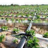 Irrigation systems high quality drip tape with two blue line sprinkler irrigation pipe made in China