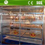 H Type Battery 4-tier Design Broiler Chicken Cages