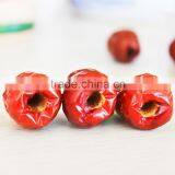 Instant Healthy Pure Dried Non-nuclear Jujube in Bulk ,whole Sale, Good Price thumbnail-3