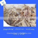 High Quality Seafood Dried Squids