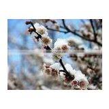 Waterproof Art Canvas thumbnail-1