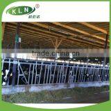 KLN galvanized Cattle Head lock