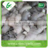 Air Dry Fresh Ginger thumbnail-6