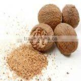 Nutmeg Seeds Without Shell Indian thumbnail-4