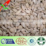 sunflower seed kernels for bakery & confectionary from China