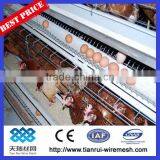 Chicken Cages/layer Chicken Cage thumbnail-1