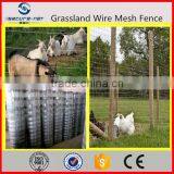 Professional Grassland Fence Weaving Machine Price(manufacturer)