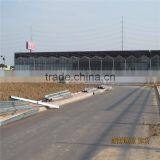 Multispan Tunnel Greenhouse for Strawberry Grape Raspberry , Agricultural Green Houses thumbnail-4