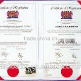 Agricultural Machine Mini Hyundai Wheel Loader ZL-926 Case Wheel Loader thumbnail-6