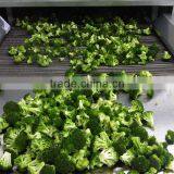 1000kg/h Air Blast IQF Tunnel Freezer for Food Plant thumbnail-1