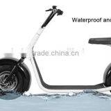 Cool Citycoco Scooter 1000W Brushless/Popular Electric Scooter 800W/ 2Wheels Scooter/City Mobility Scooter 800W (TKE-S800) thumbnail-5