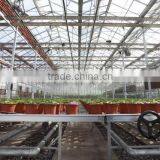 Hydroponic Growing Greenhouse thumbnail-5