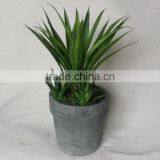 Cheap Concrete Pots With Fake Plants thumbnail-1