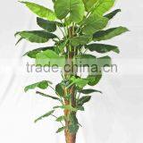 Wholesale Outdoor Use Potted Plants thumbnail-6